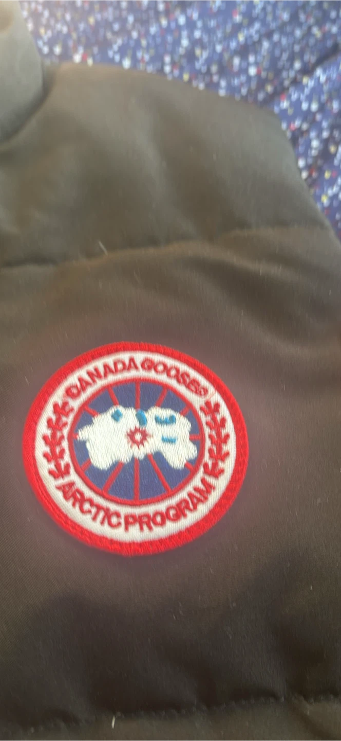 Canada goose vest - photo 5