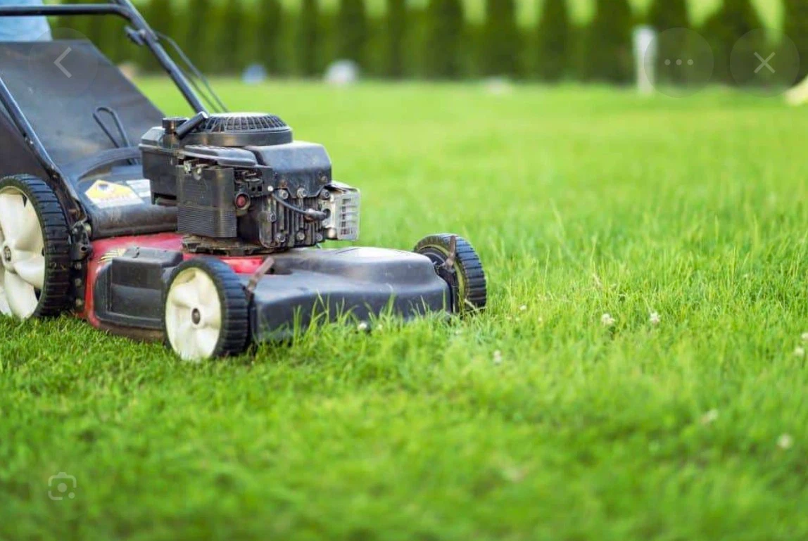 Professional Lawn Mowing & Yard Care Services in Nanaimo 🌿🏡