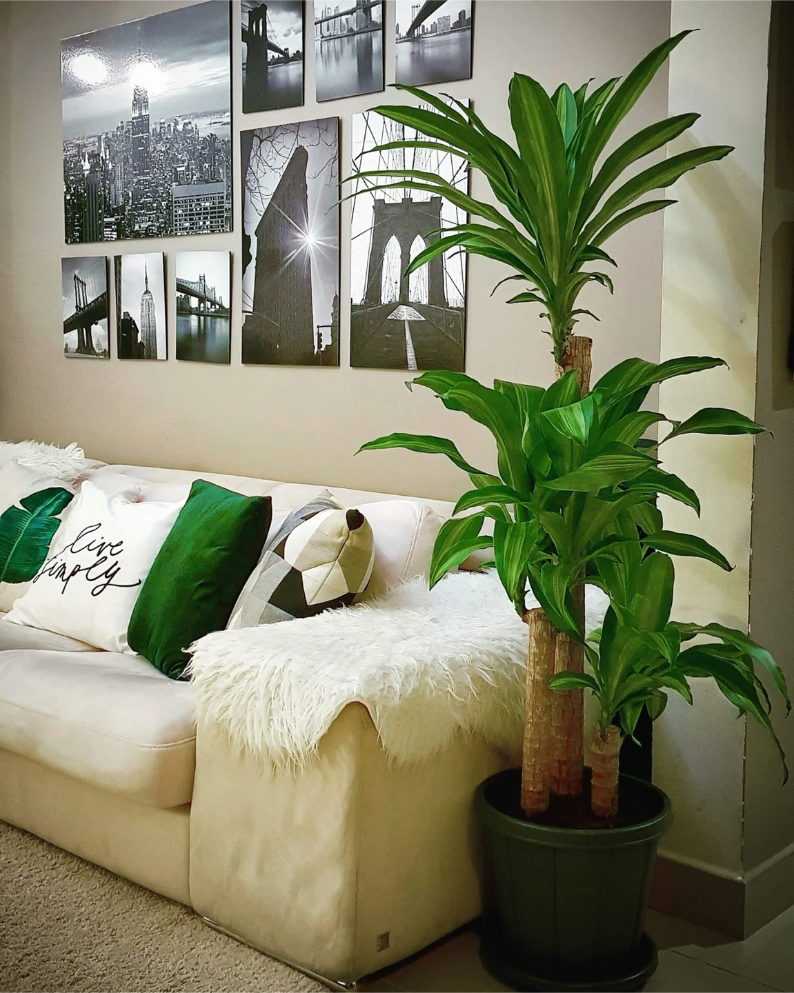 🗽 IKEA New York City Wall Art Set – $50 - photo 2