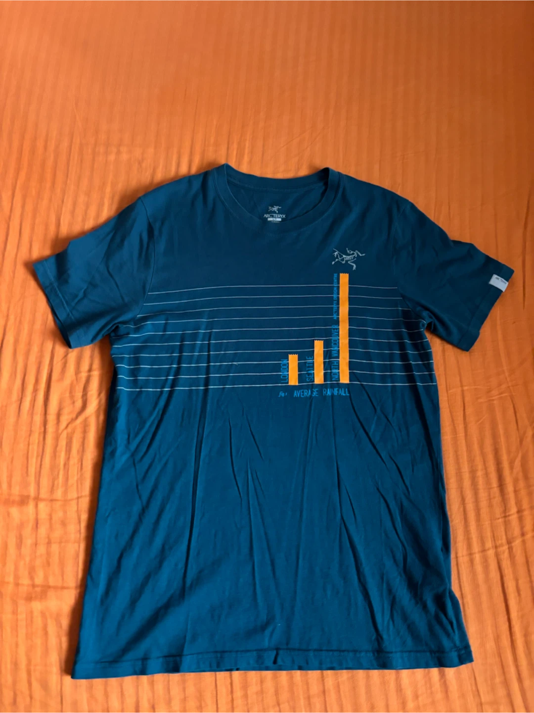 Arc'teryx T-Shirt S/P - photo 3