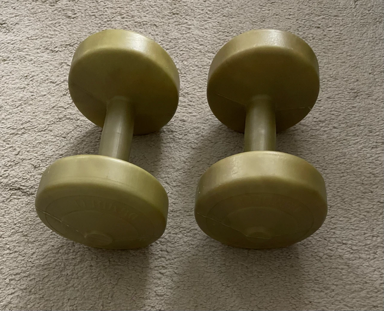 🌱 Pair of Dumbbells - 5 LB Each