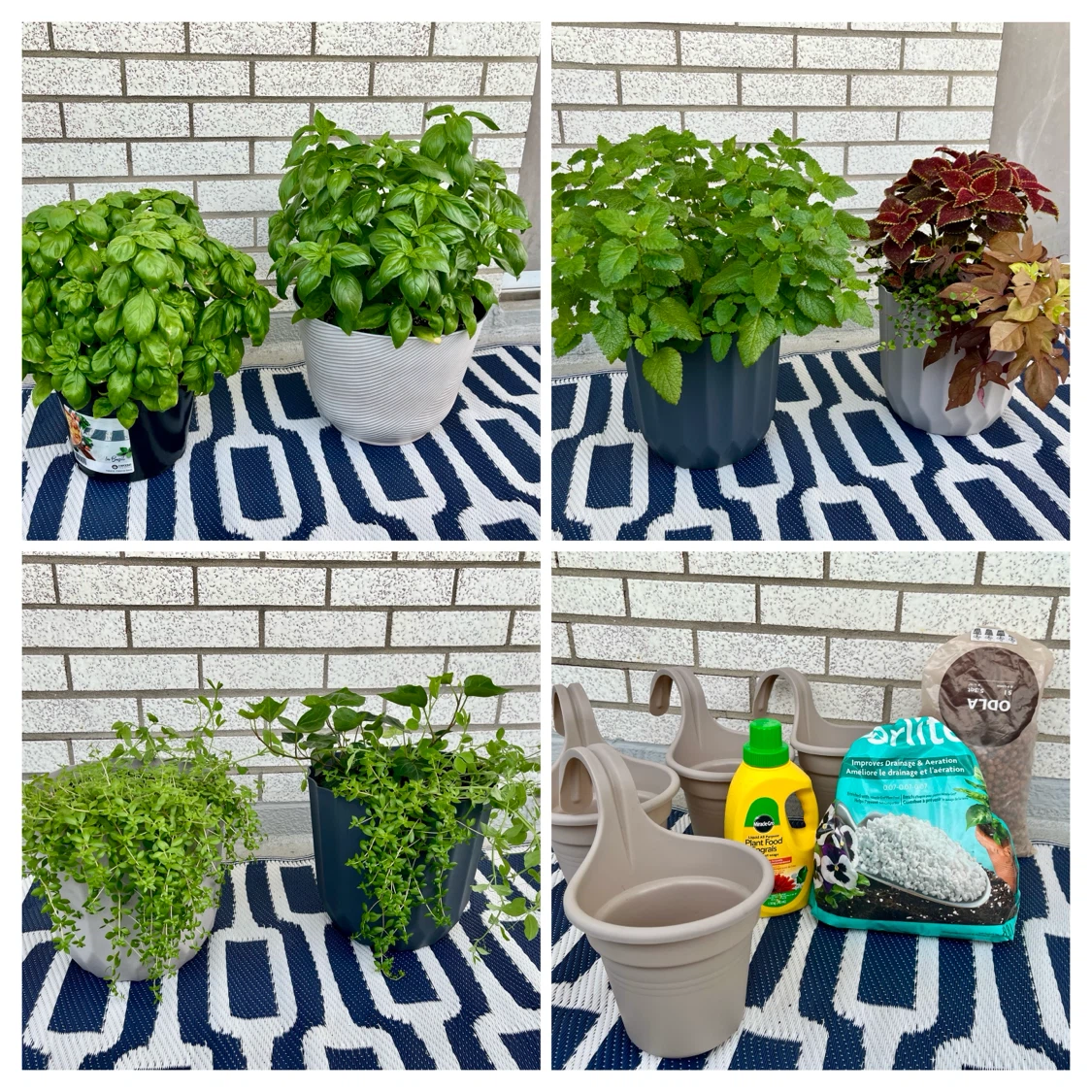 Outdoor Plants, Pots & Fertiliser