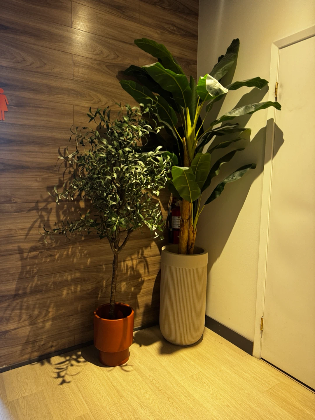 Decorative Large Modern Planter Box and Pot (assorted size) - photo 5