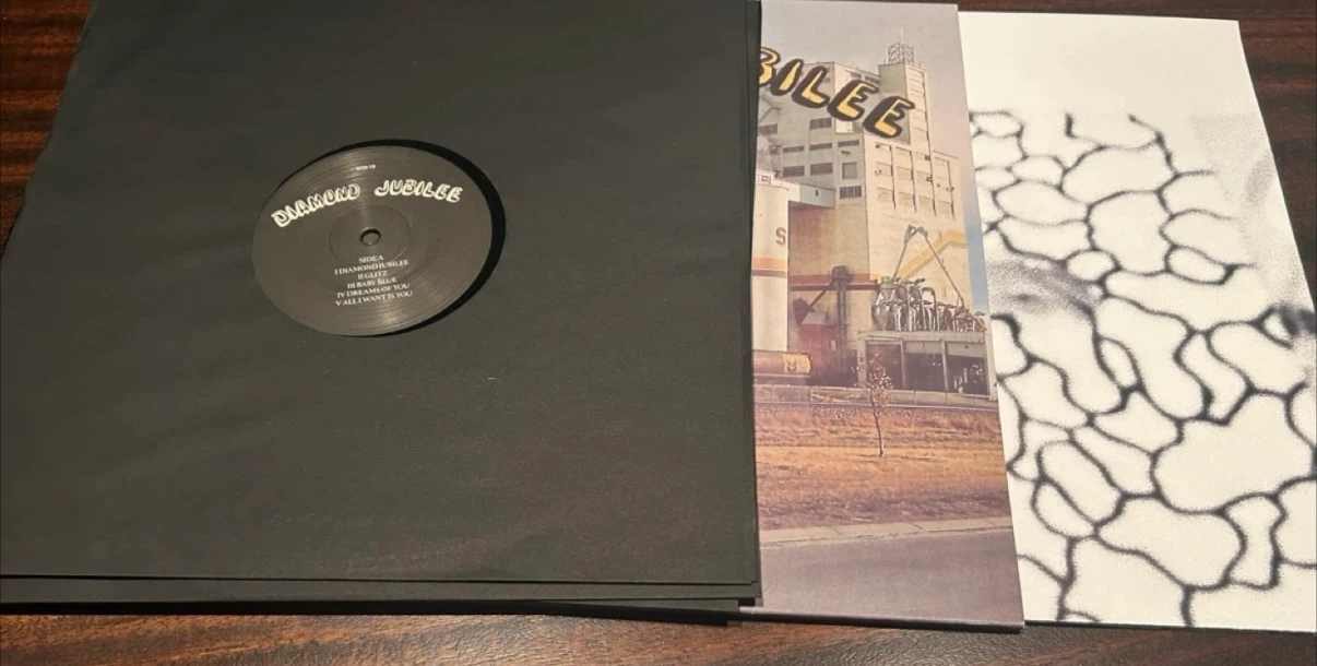 Cindy Lee’s Diamond Jubilee 3LP Vinyl Record - photo 4