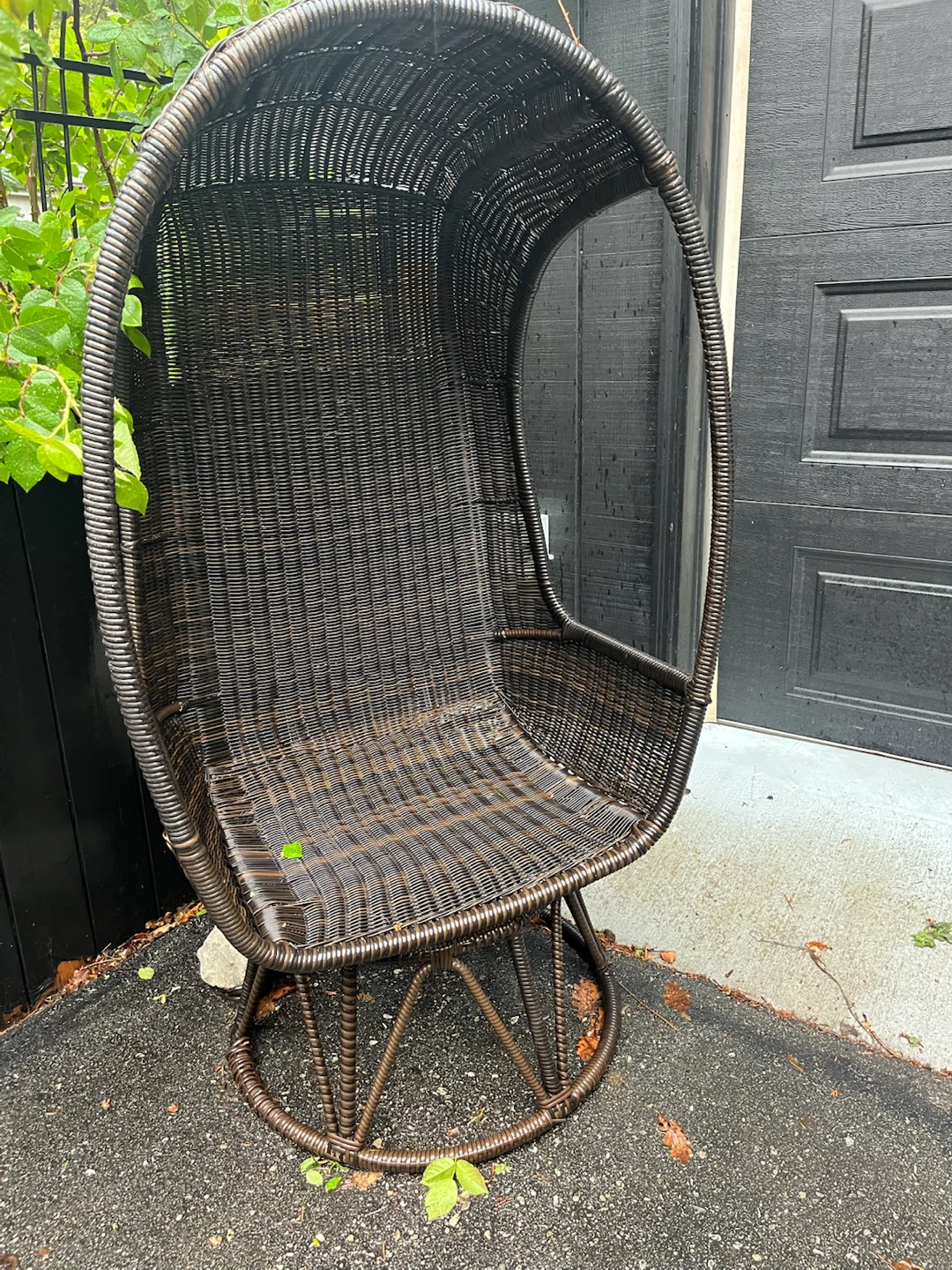 Pier One outdoor egg chair