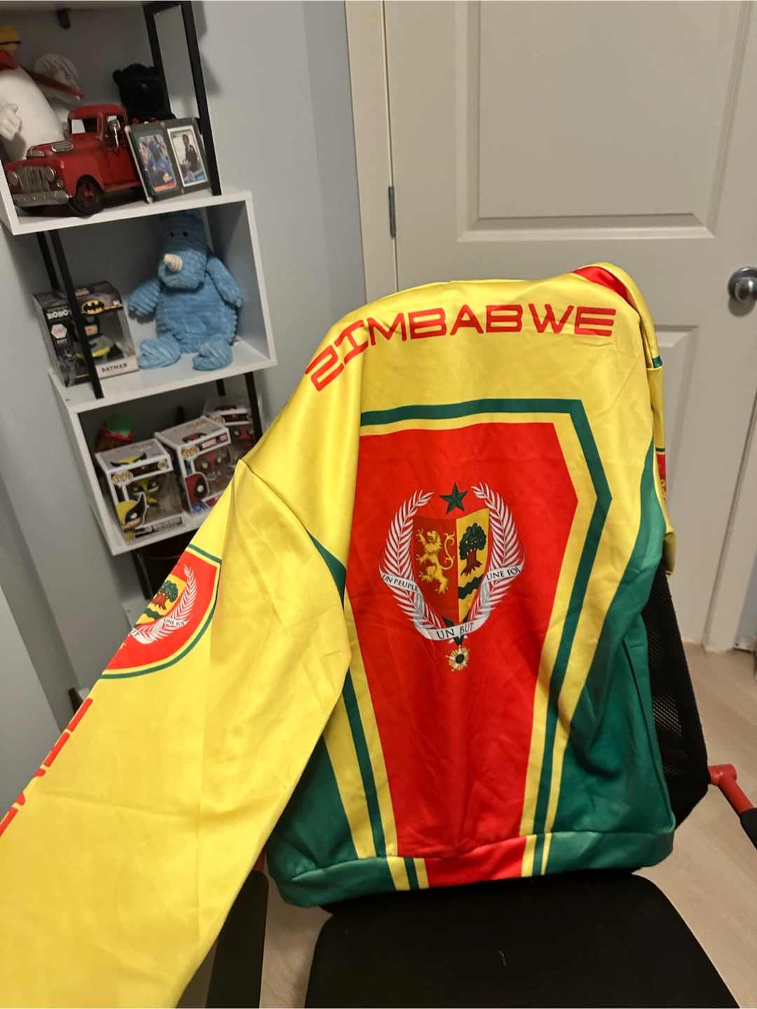 Zimbabwe Flag Hoodie - photo 2