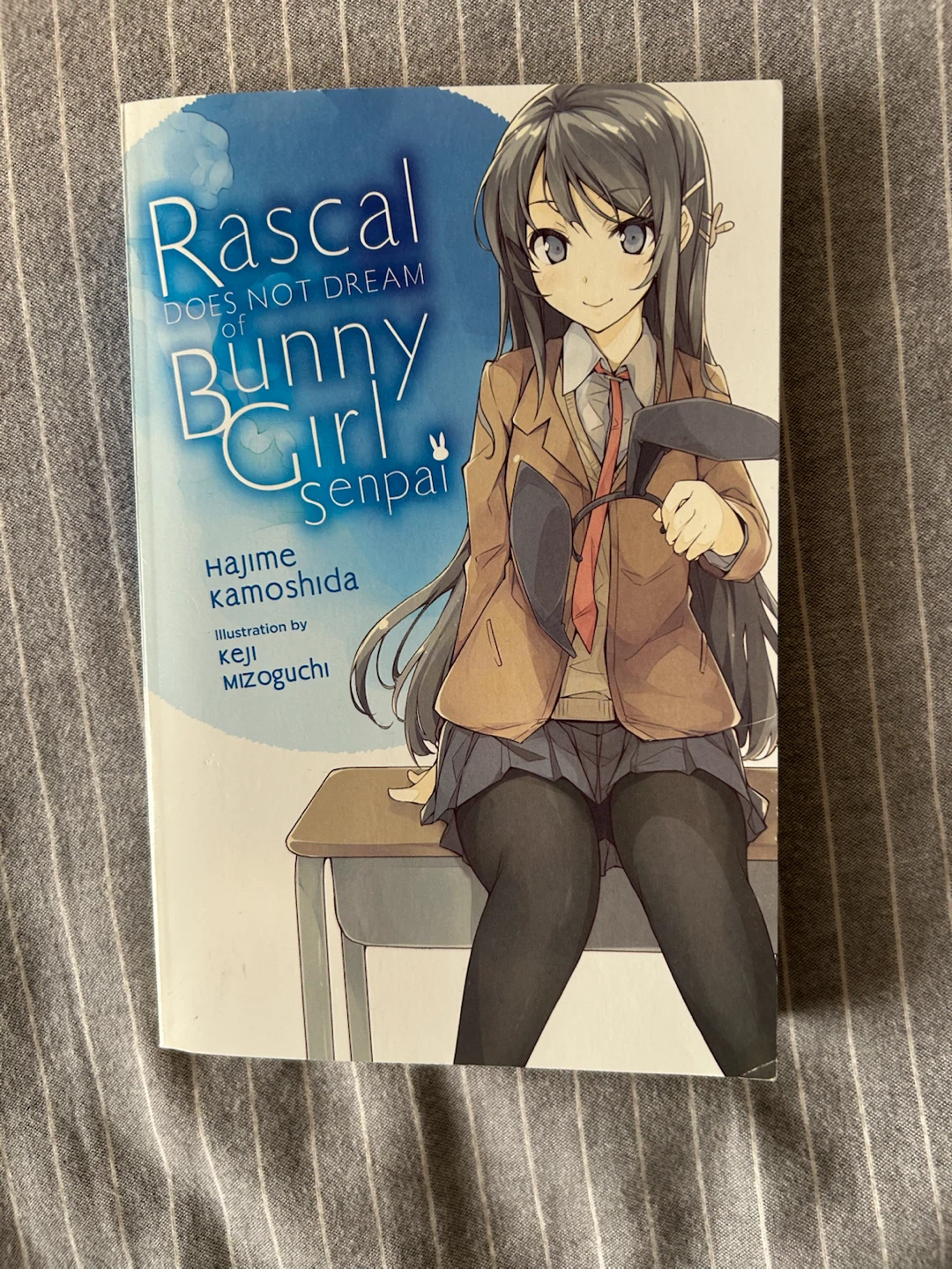 Rascal Does Not Dream of Bunny Girl Senpai Light Novel