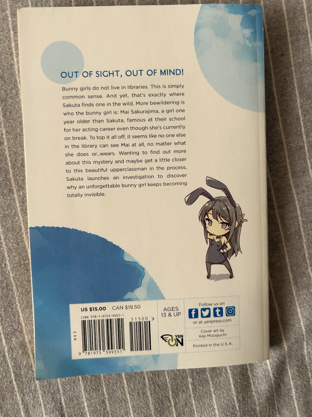 Rascal Does Not Dream of Bunny Girl Senpai Light Novel - photo 2