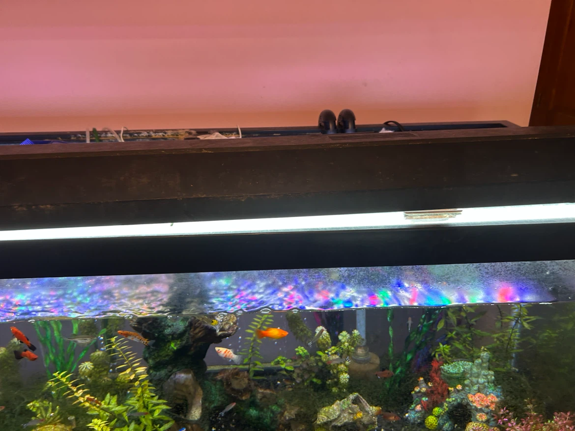 All-Glass Aquarium 48" Deluxe Fluorescent Aquarium Reflector - photo 5