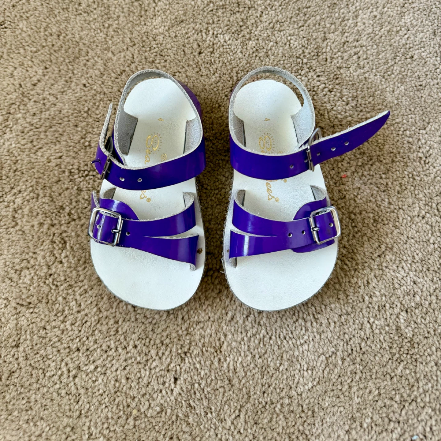 Saltwater Sea Wee Sandals - Purple Size US 5