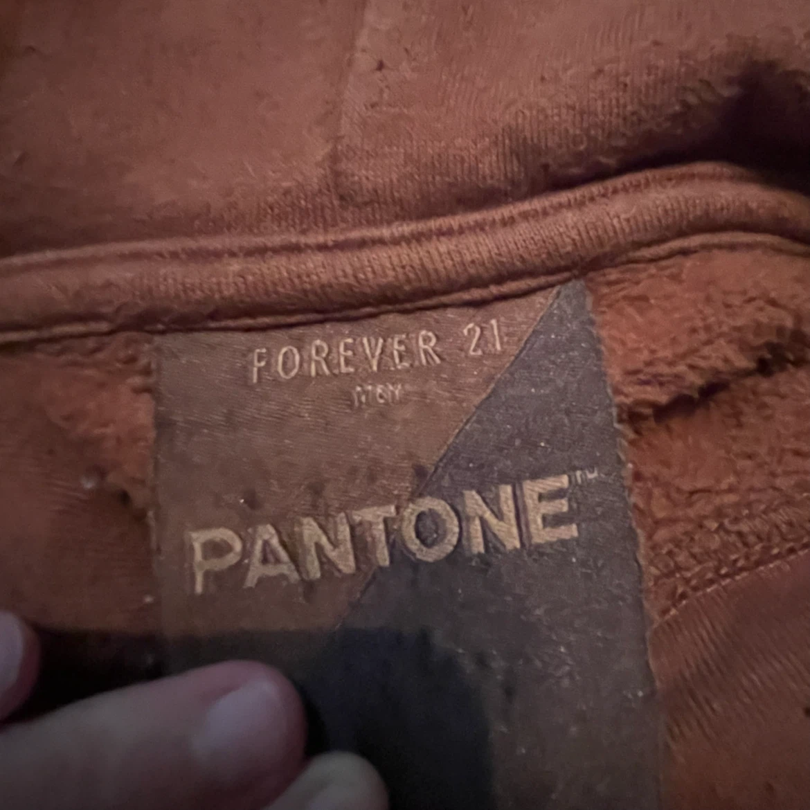 Forever 21 Pantone Hoodie - photo 3