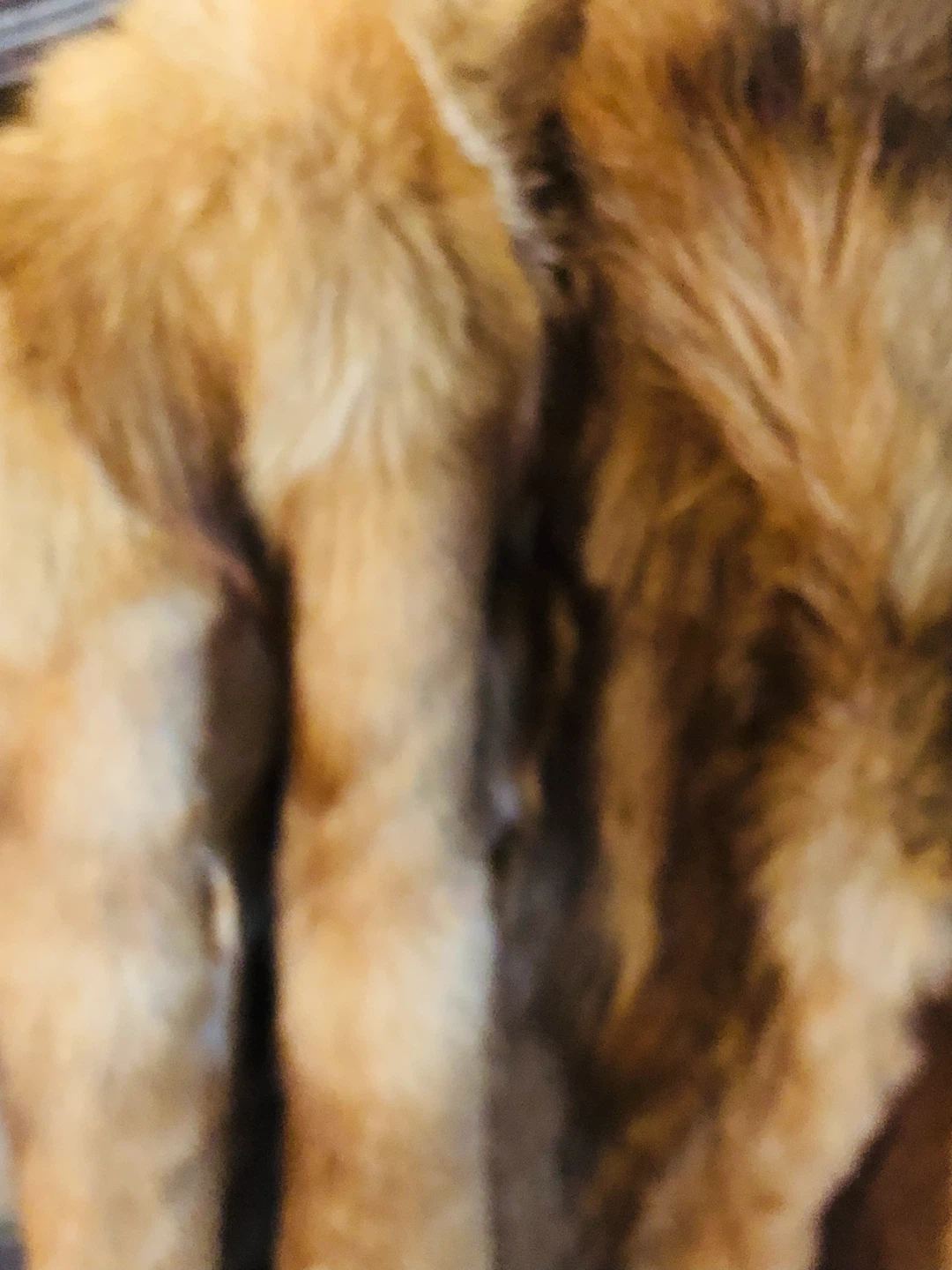 Women's Fur Coat L - photo 2