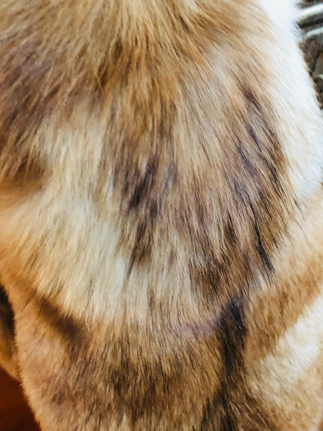 Women's Fur Coat L - photo 4