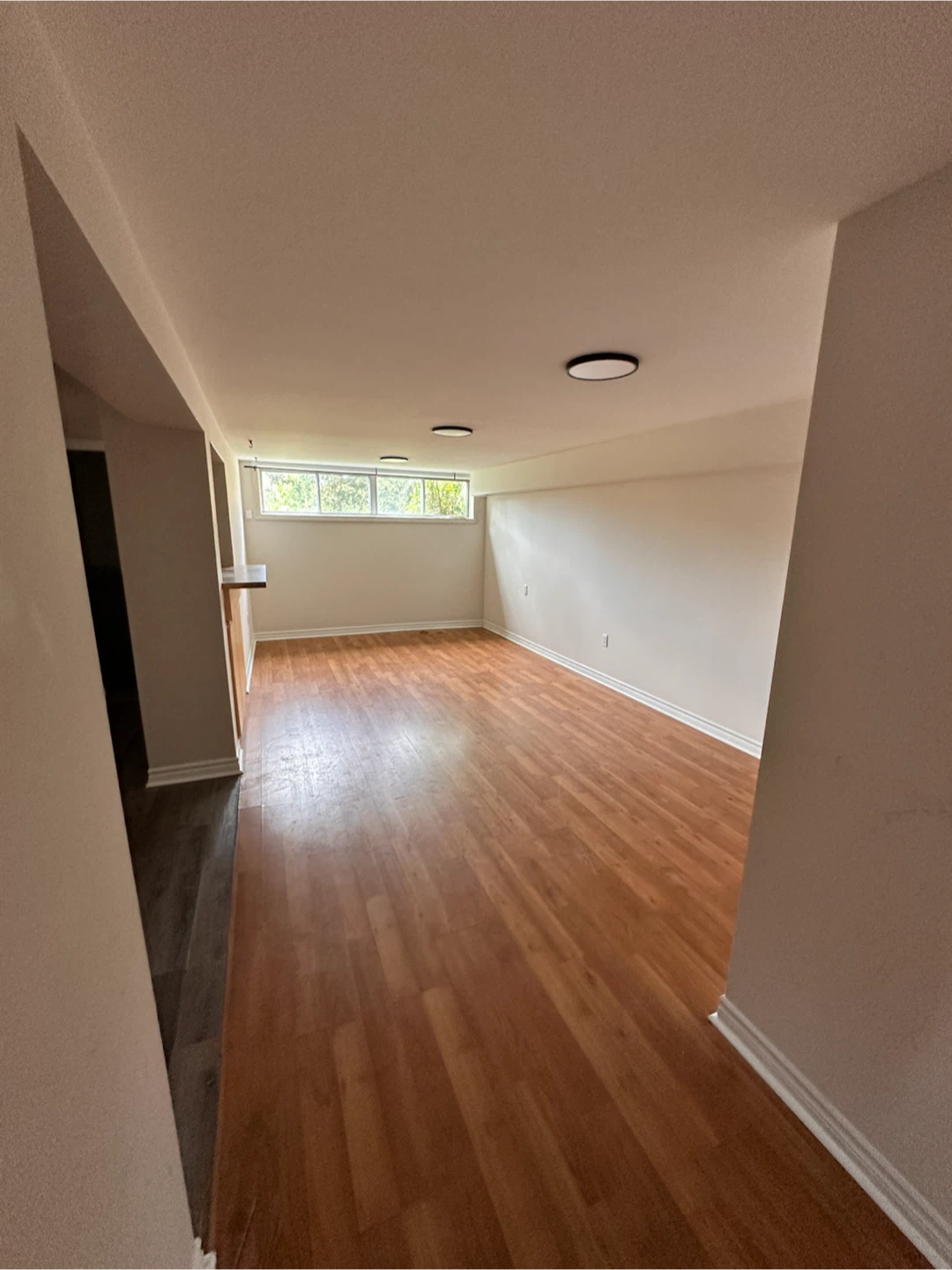 Bright 1BR Walkout • Parking • 30 Mins to Downtown • Sept. 1