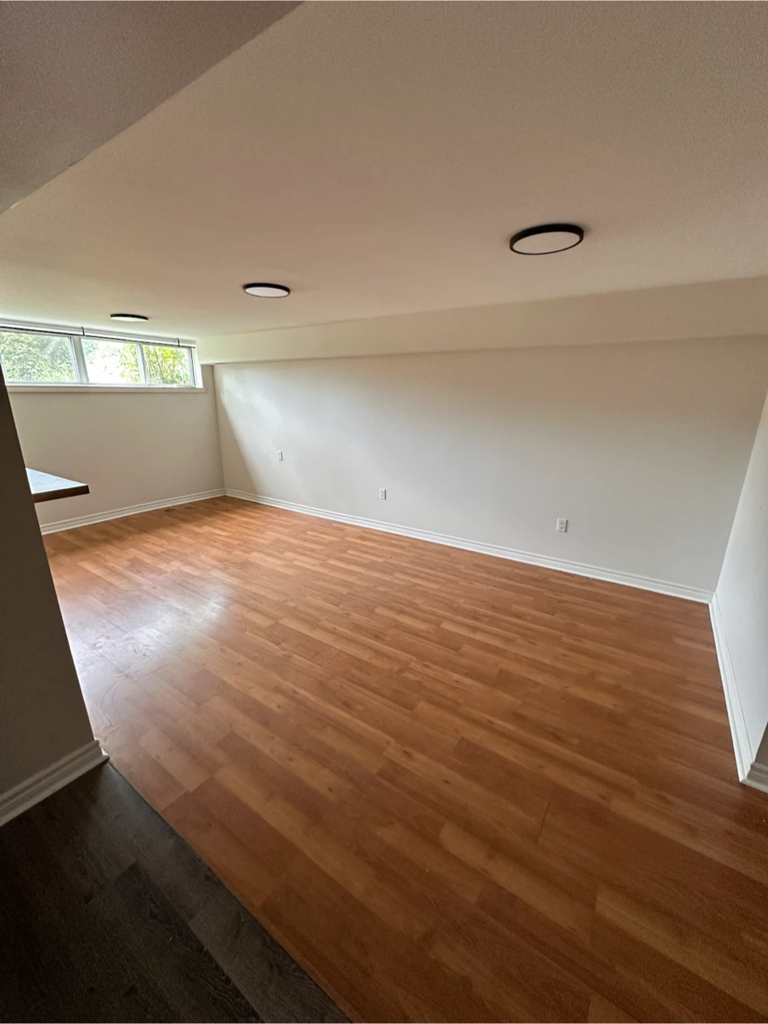 Bright 1BR Walkout • Parking • 30 Mins to Downtown • Sept. 1 - photo 2