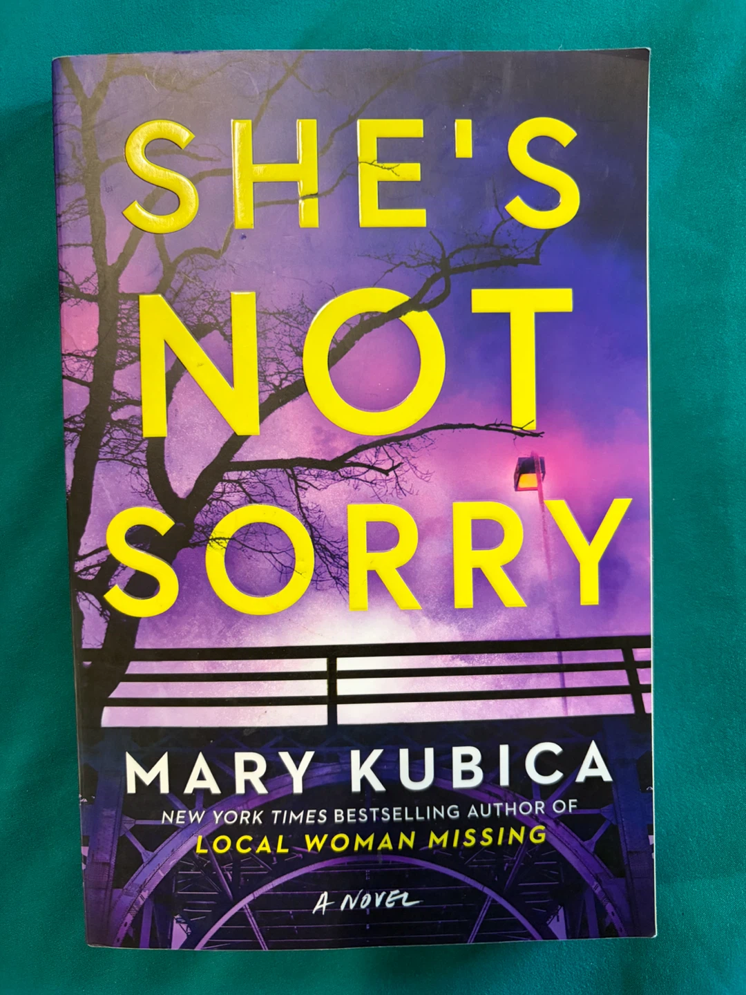 She's Not Sorry by Mary Kubica Novel