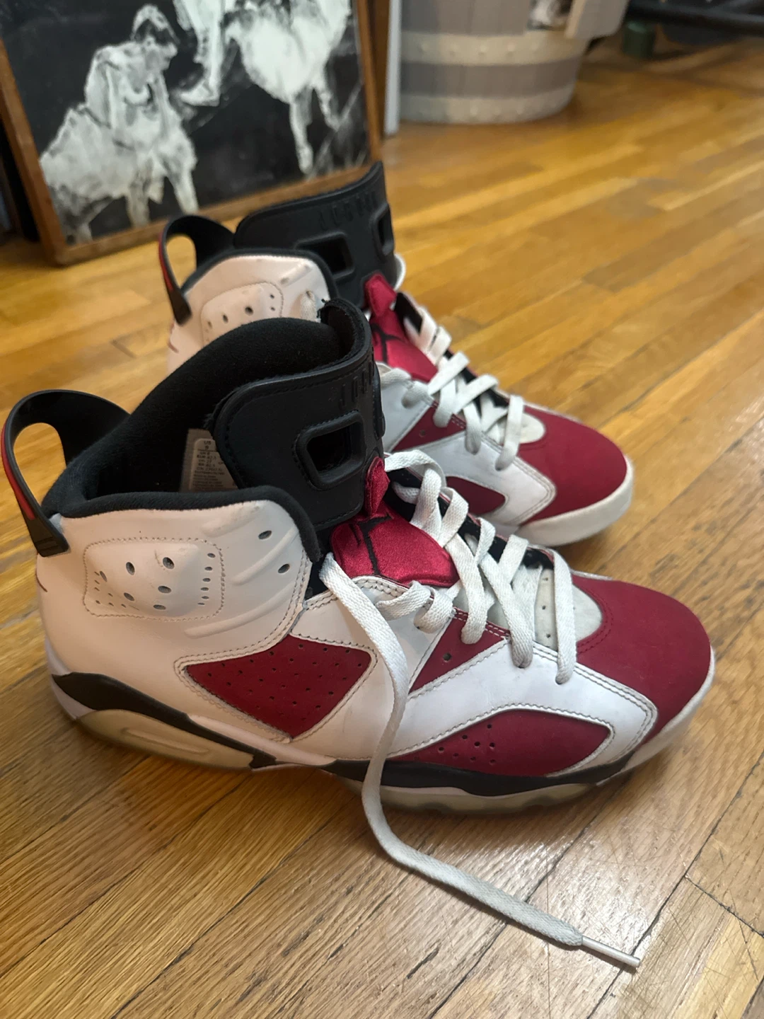 Air Jordan 6 Retro Shoes