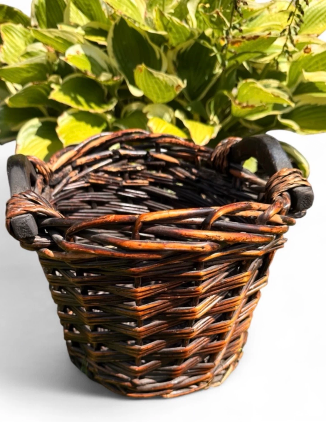 NWOT Handwoven Brown Wicker Round Storage Basket with Handles - photo 4