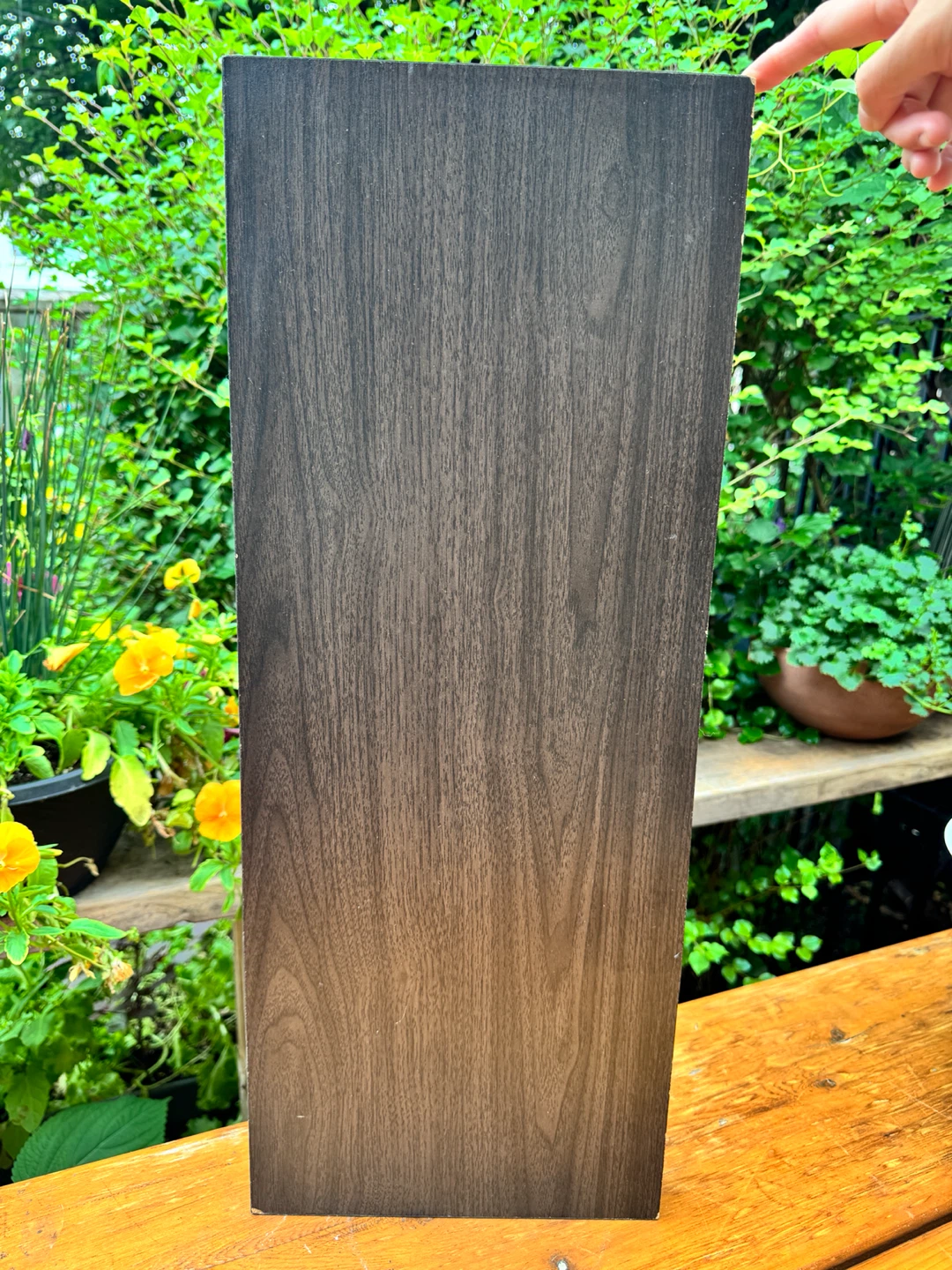 Floating Shelves Dark Color 23 5/8”x 9 1/2”
