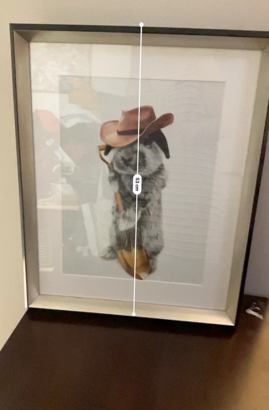 Framed Art Print - Bunny in Cowboy Hat - photo 4