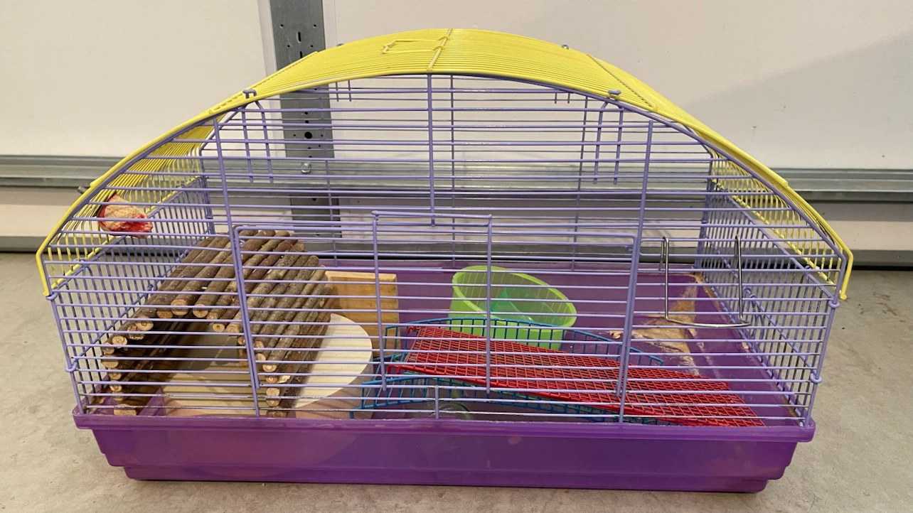 Cage for small animal
