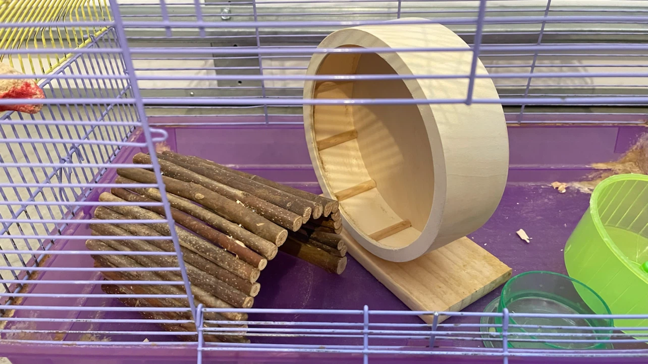 Cage for small animal - photo 2