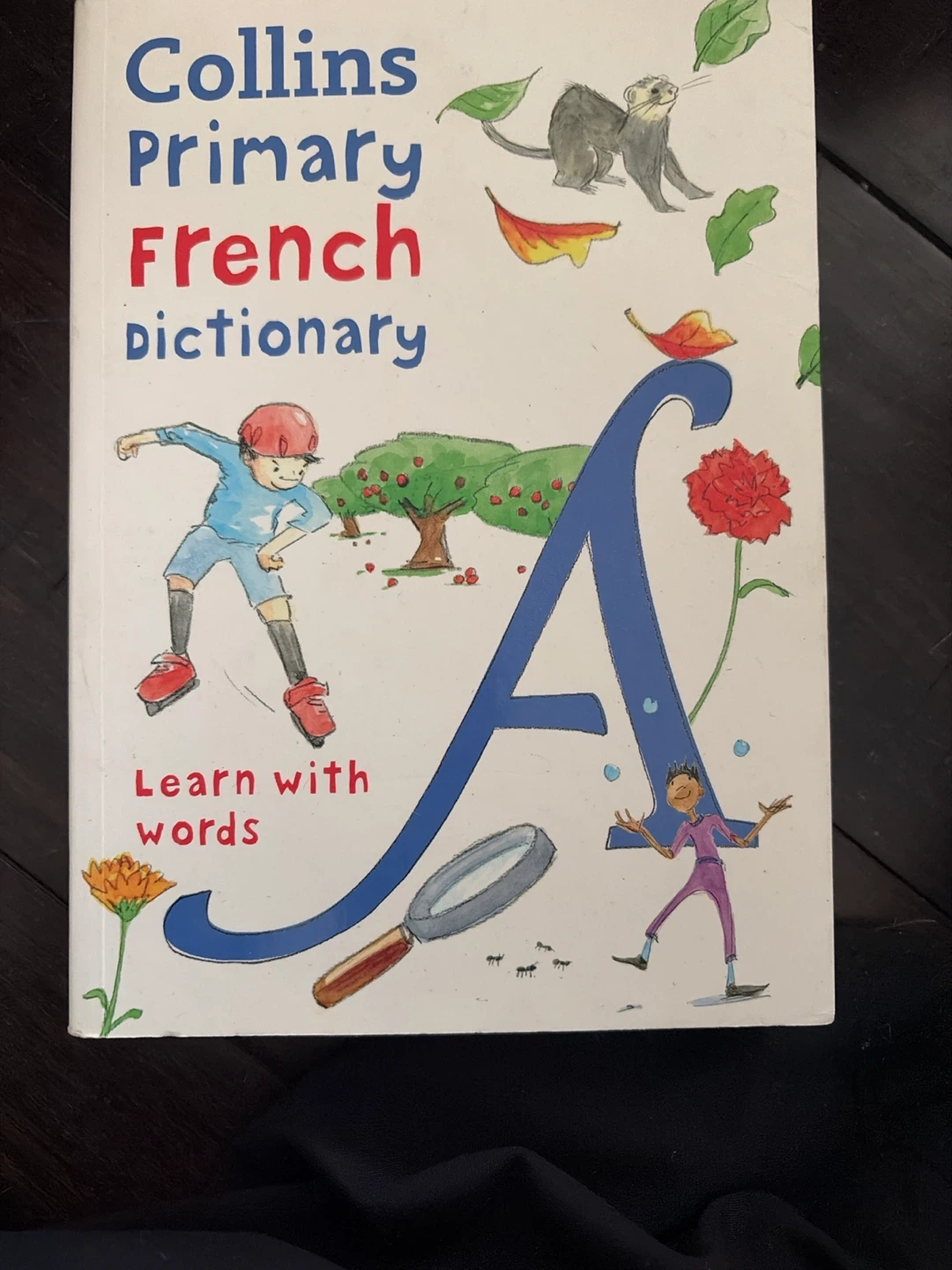 Collins Primary French Dictionary