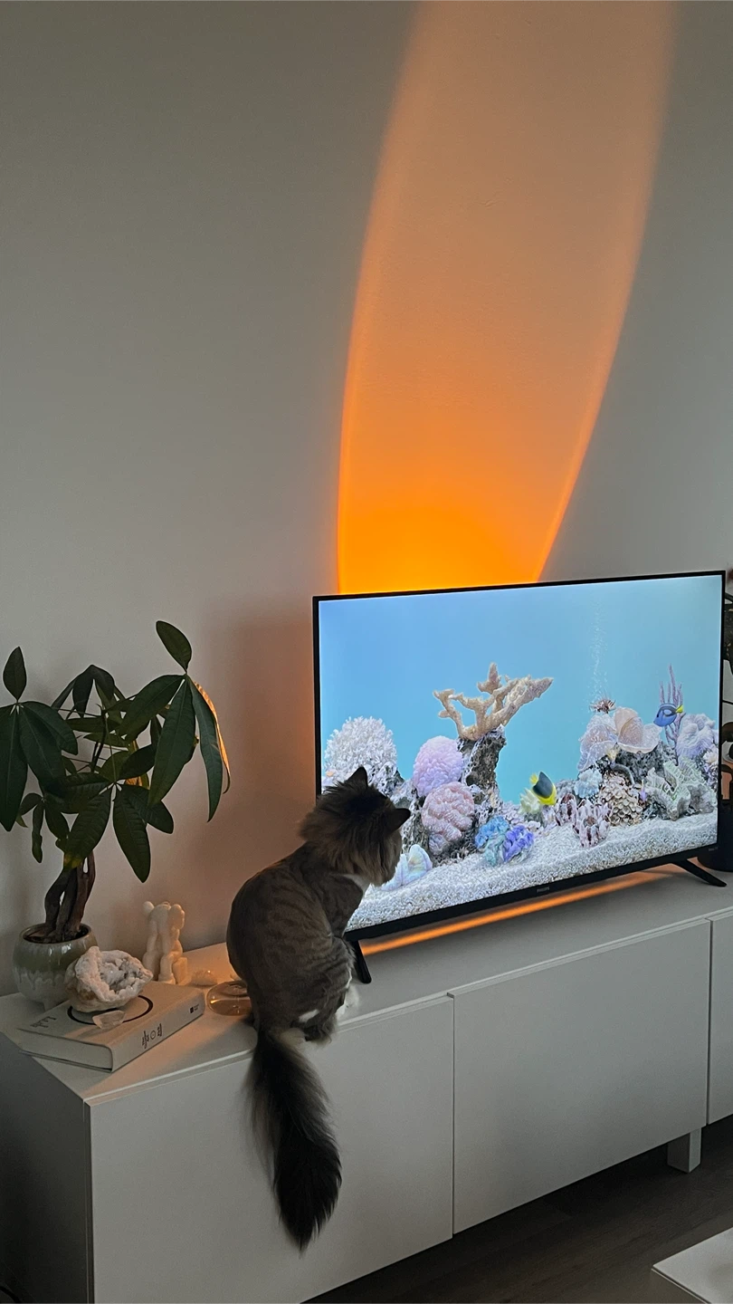 Philips Flat 43 inch Screen Smart TV