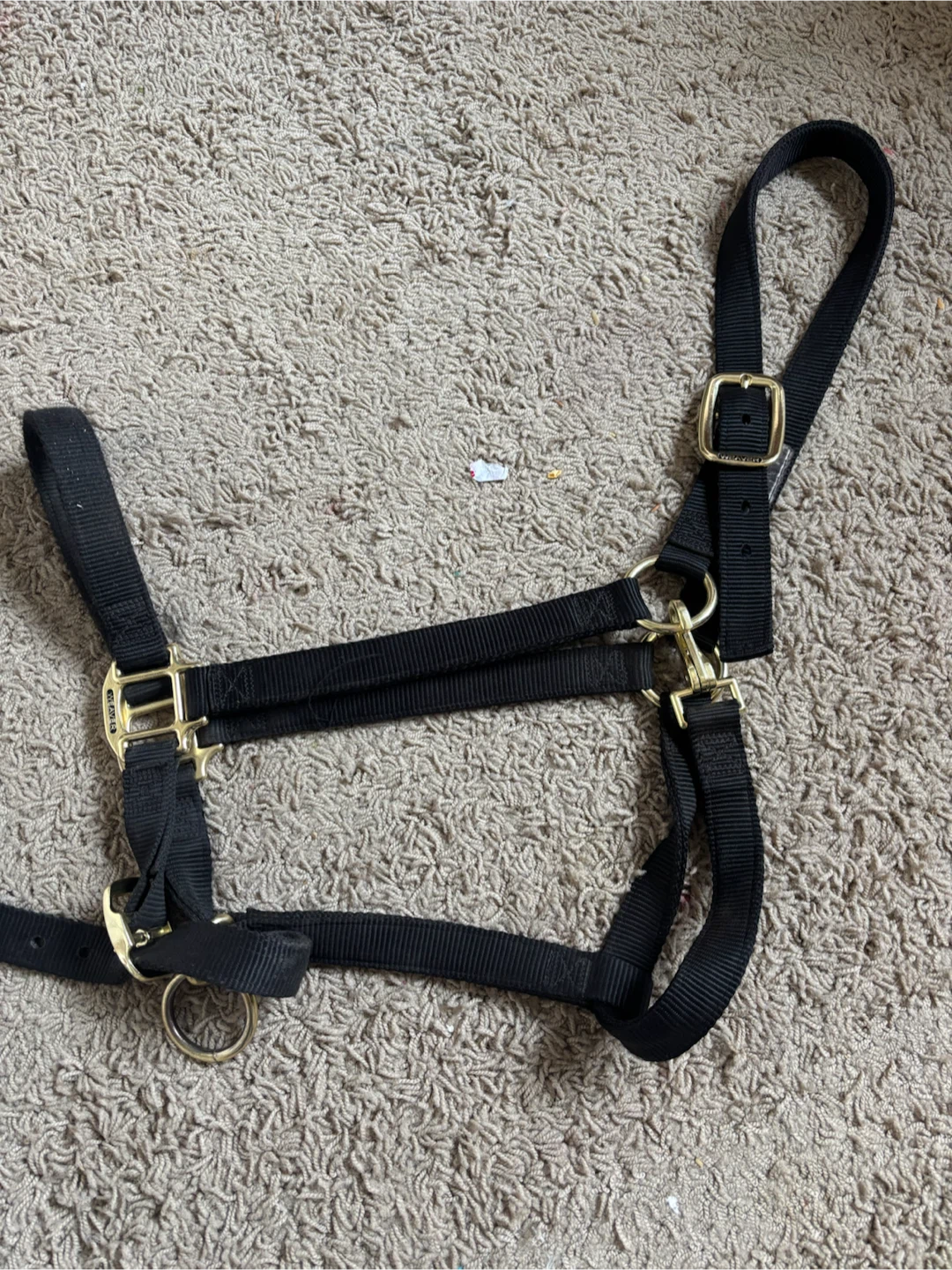 Weaver draft horse adjustable halter
