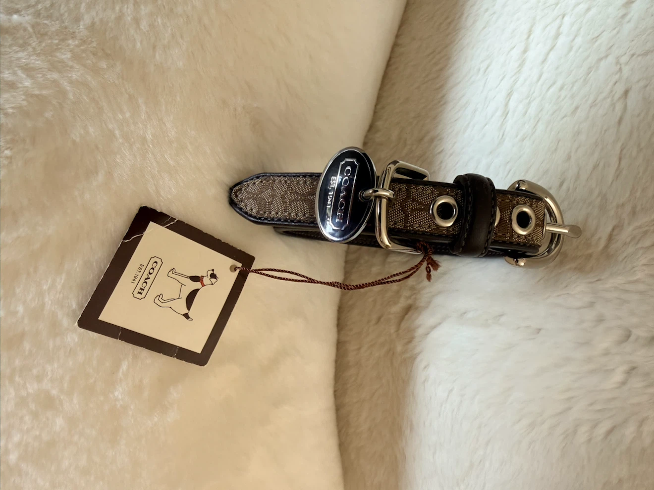 Coach Signature Dog Collar