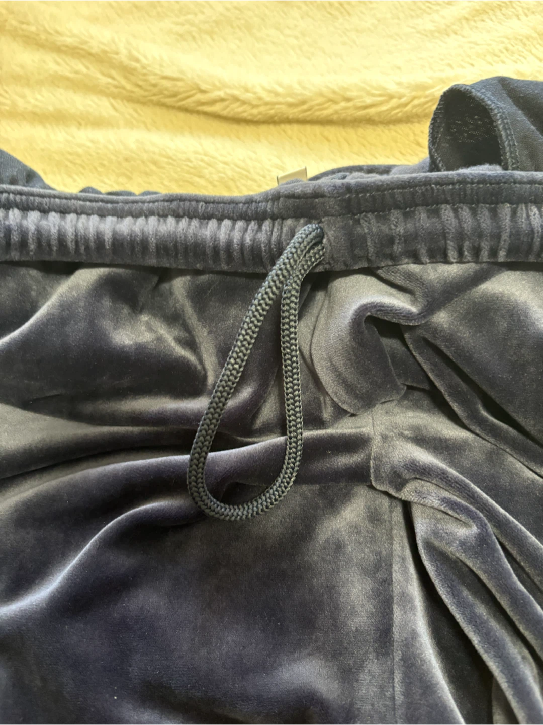 Aritzia TNA Velour Pants (Size: M) - photo 4