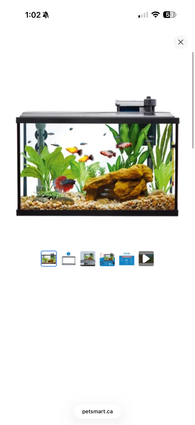 Top Fin 10 Gallon Glass Aquarium Starter Kit
