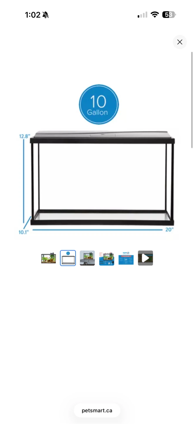 Top Fin 10 Gallon Glass Aquarium Starter Kit - photo 2