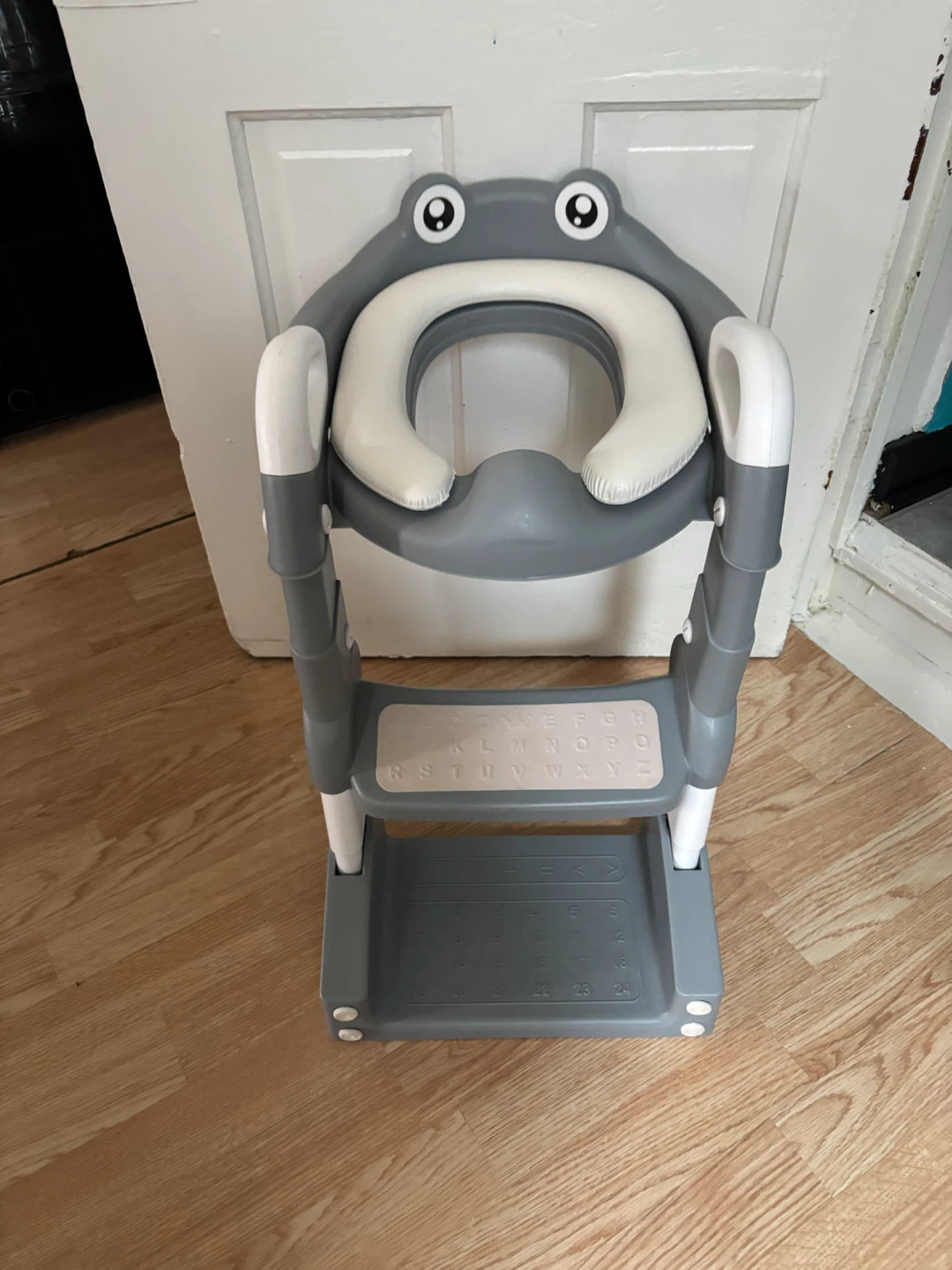 Grey Frog Potty Training Seat with Steps