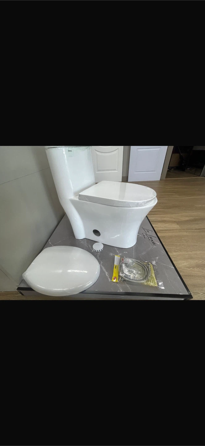 Brand New Regular Toilet - photo 5