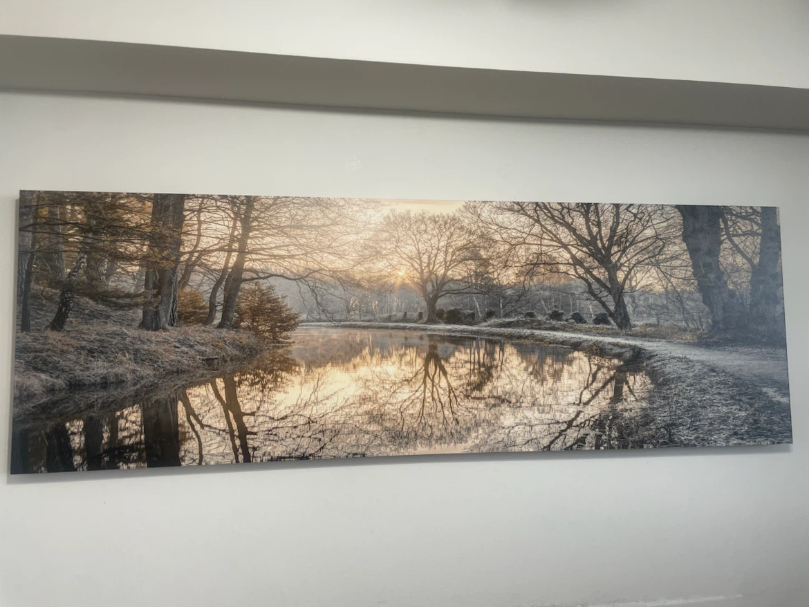 Panoramic Landscape Canvas Print