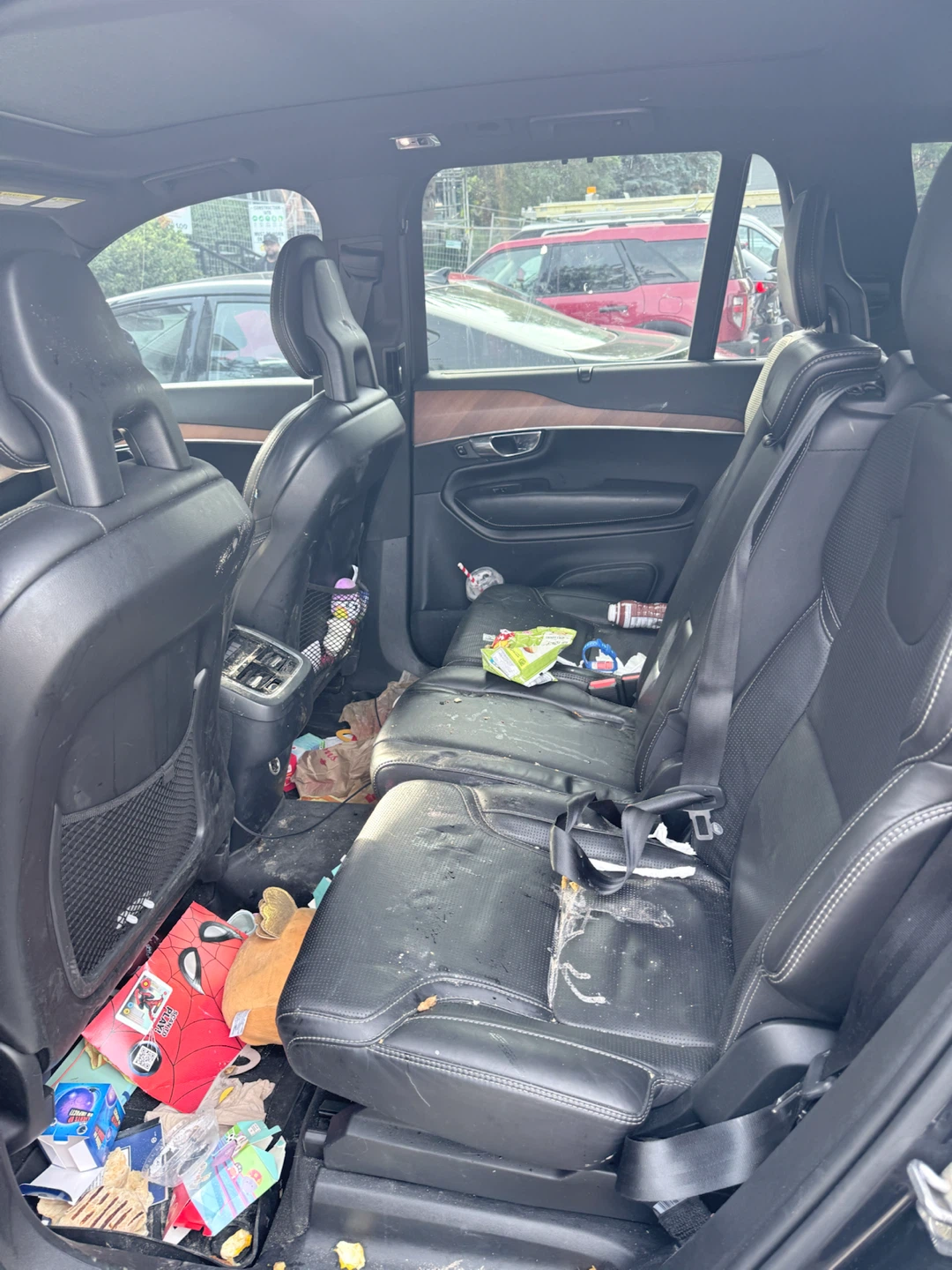 Professional Car Cleaning Services - photo 2