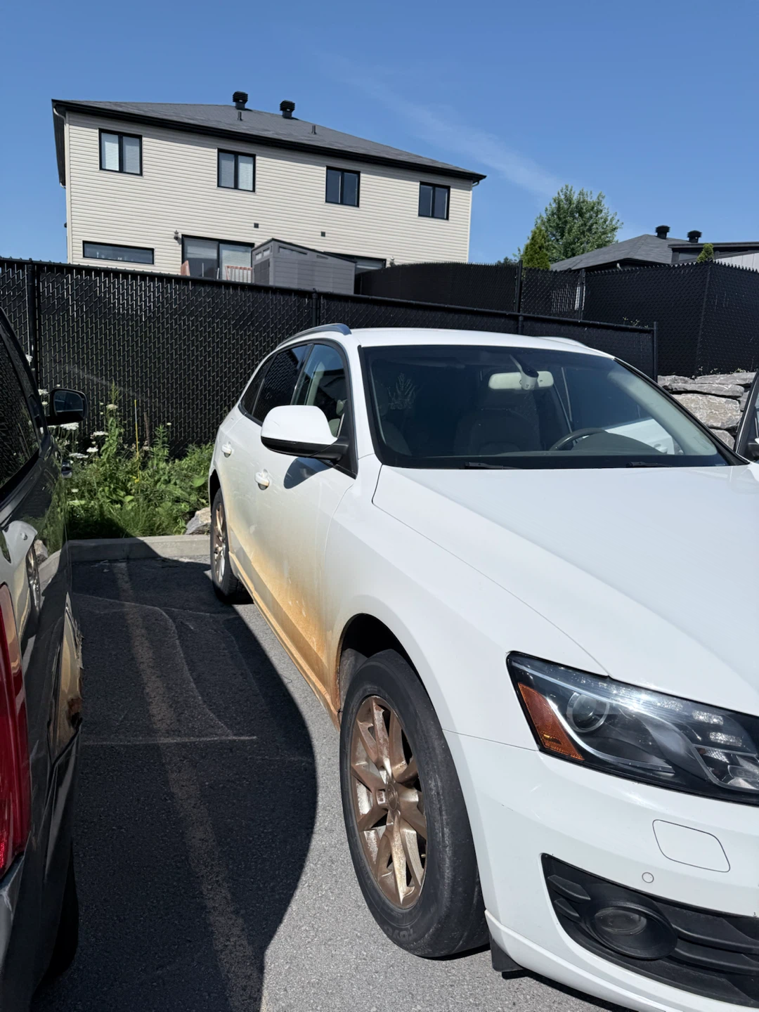 Professional Car Cleaning Services - photo 4