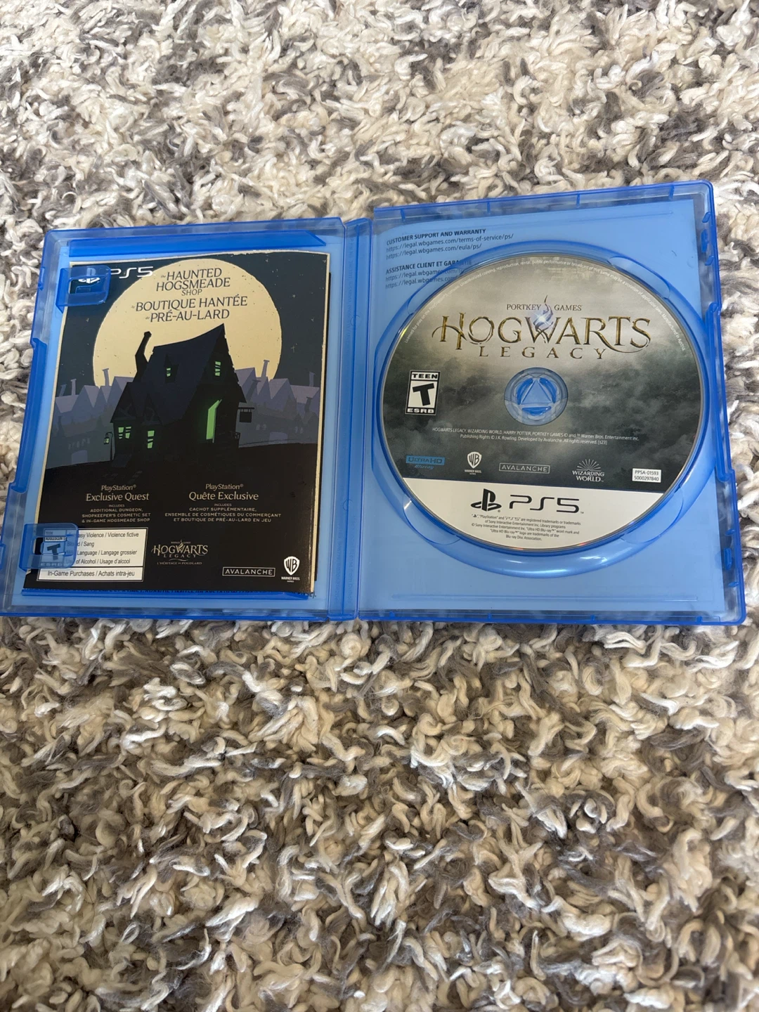 Hogwarts Legacy - photo 3