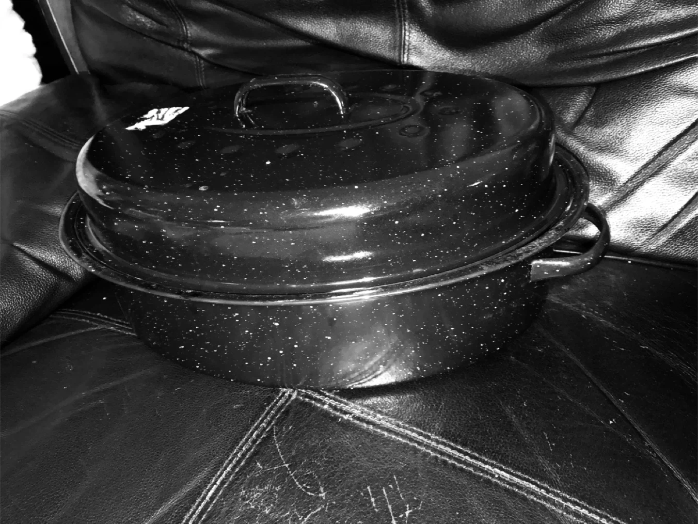 Roaster Pan with Lid