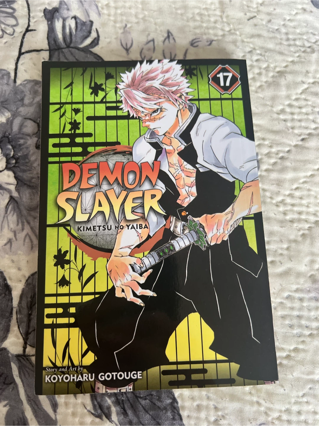 Demon Slayer: Kimetsu no Yaiba, Vol. 17 Manga