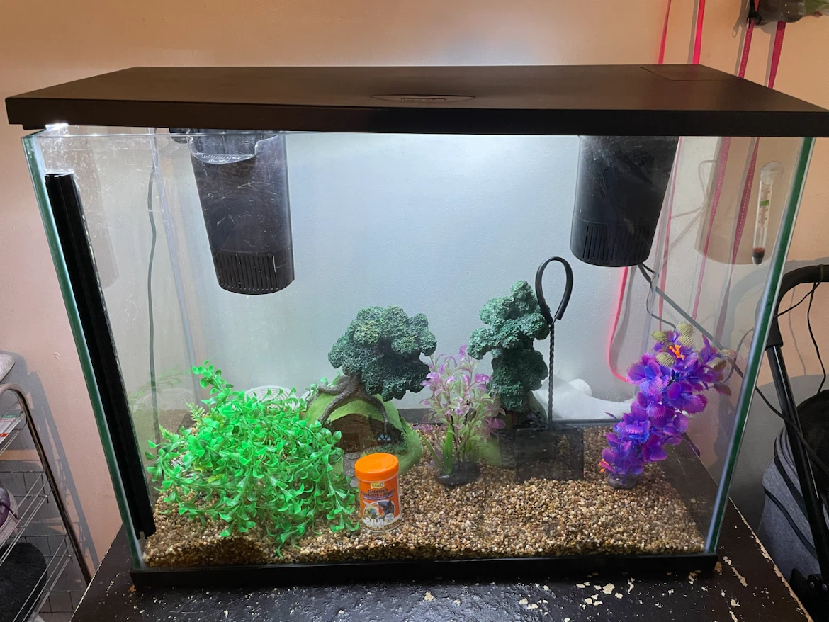 37 Gallon Fish Tank & Supplies Lot