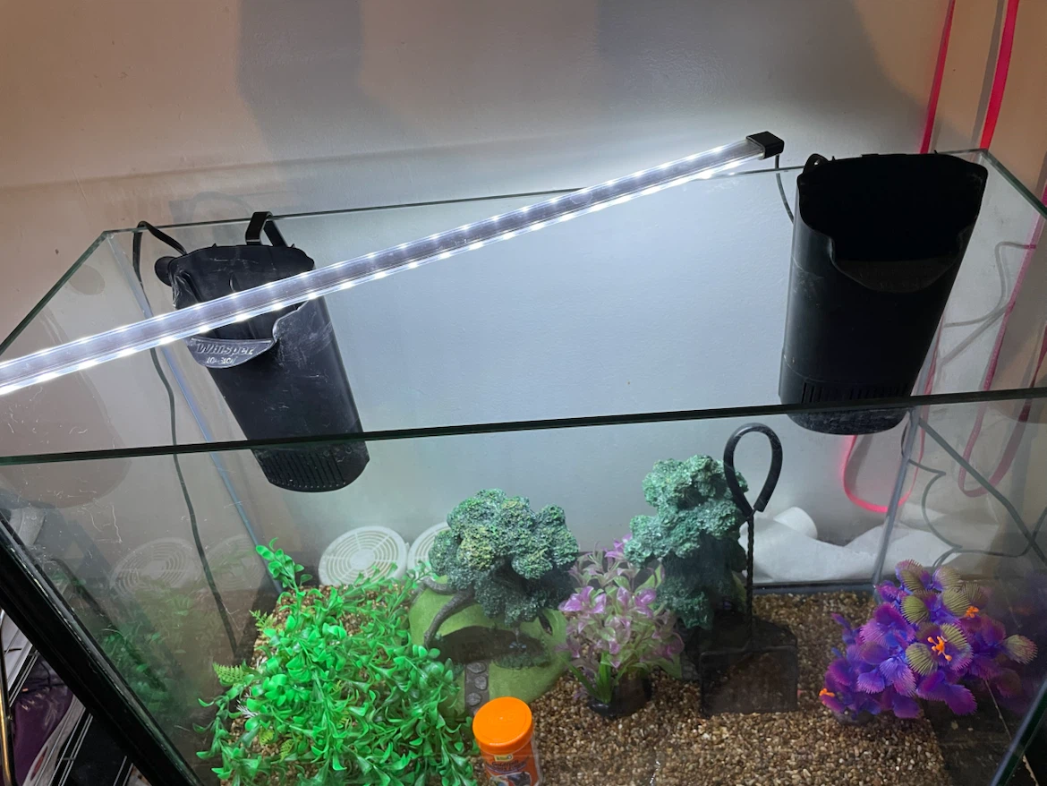 37 Gallon Fish Tank & Supplies Lot - photo 3