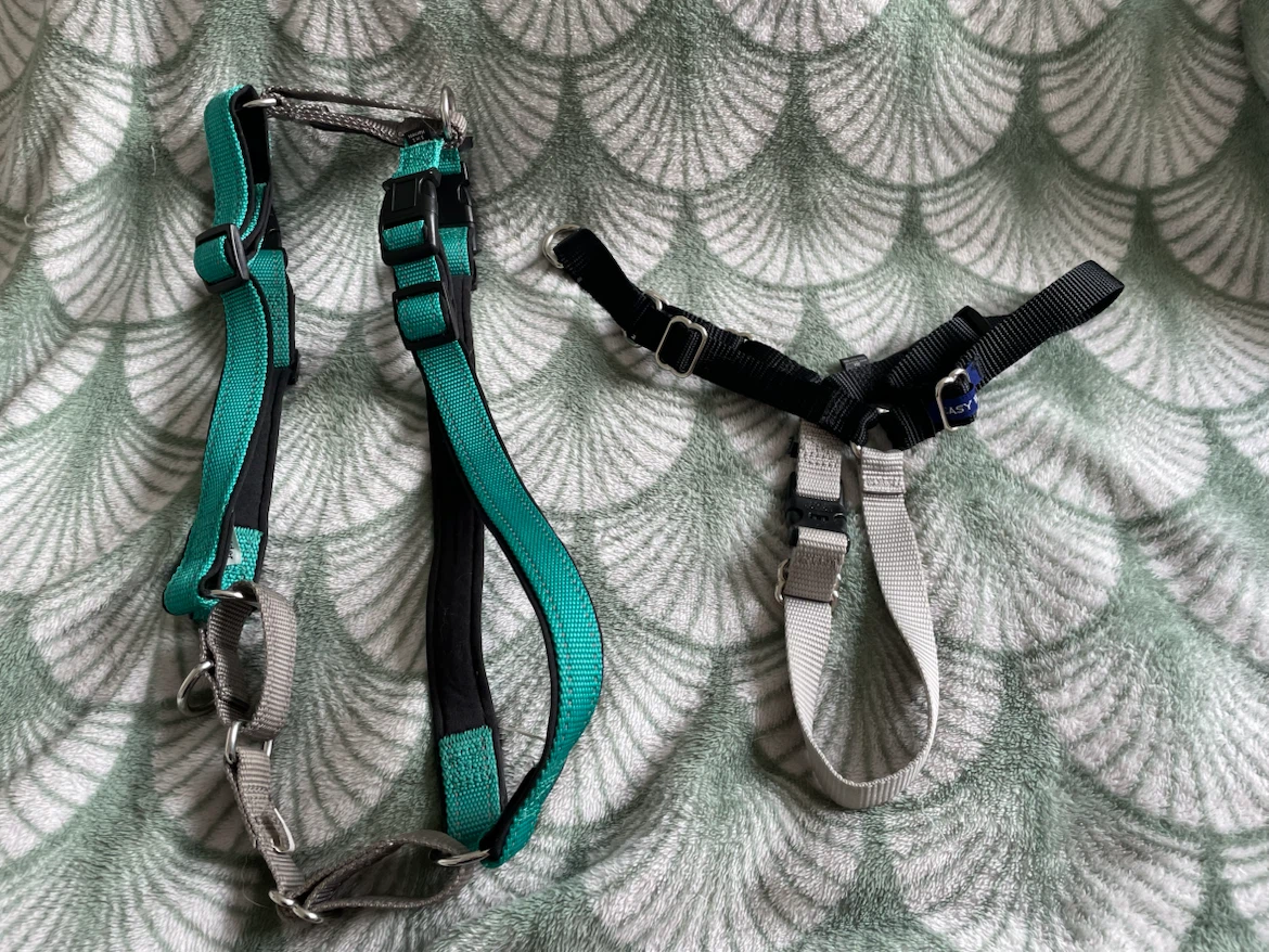 Medium Easy Walk Dog Harnesses