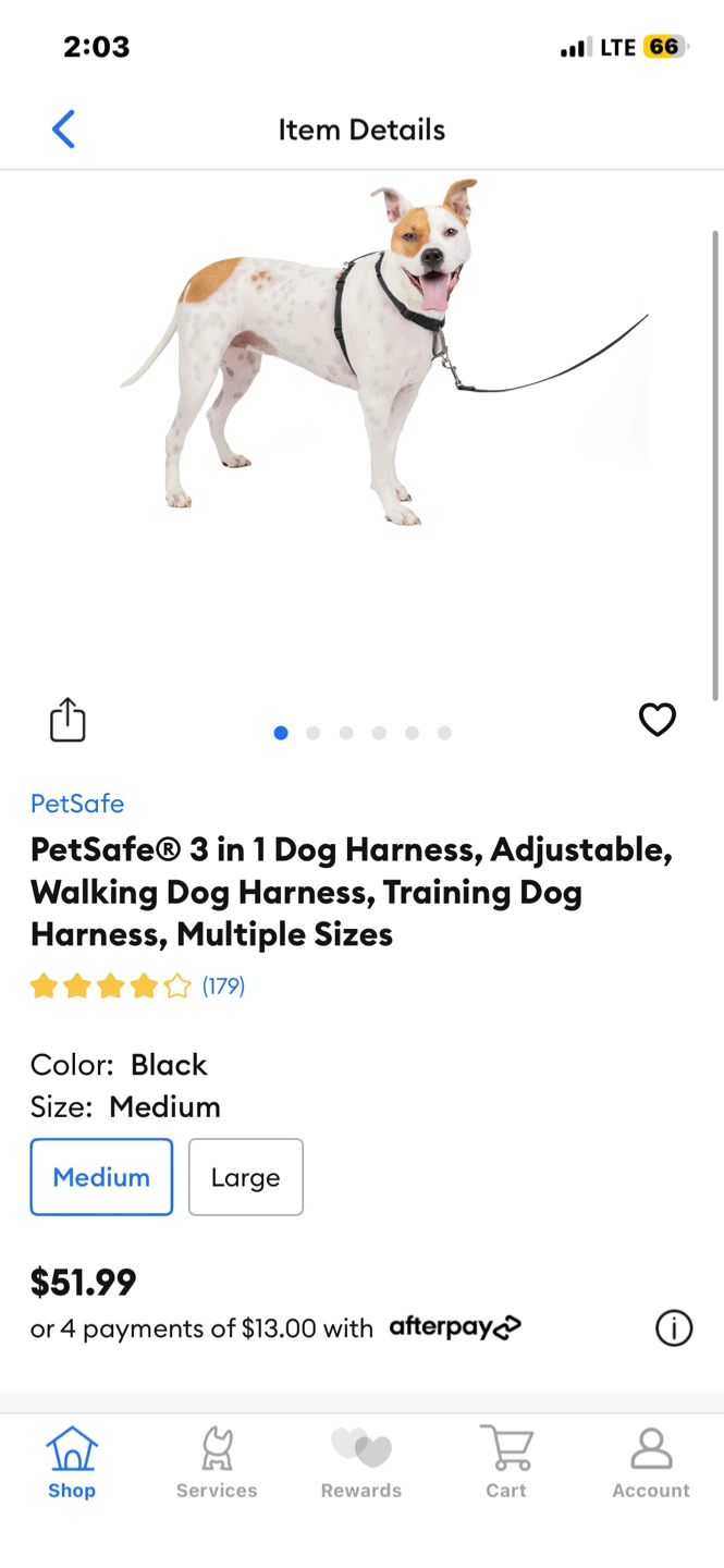 Medium Easy Walk Dog Harnesses - photo 3