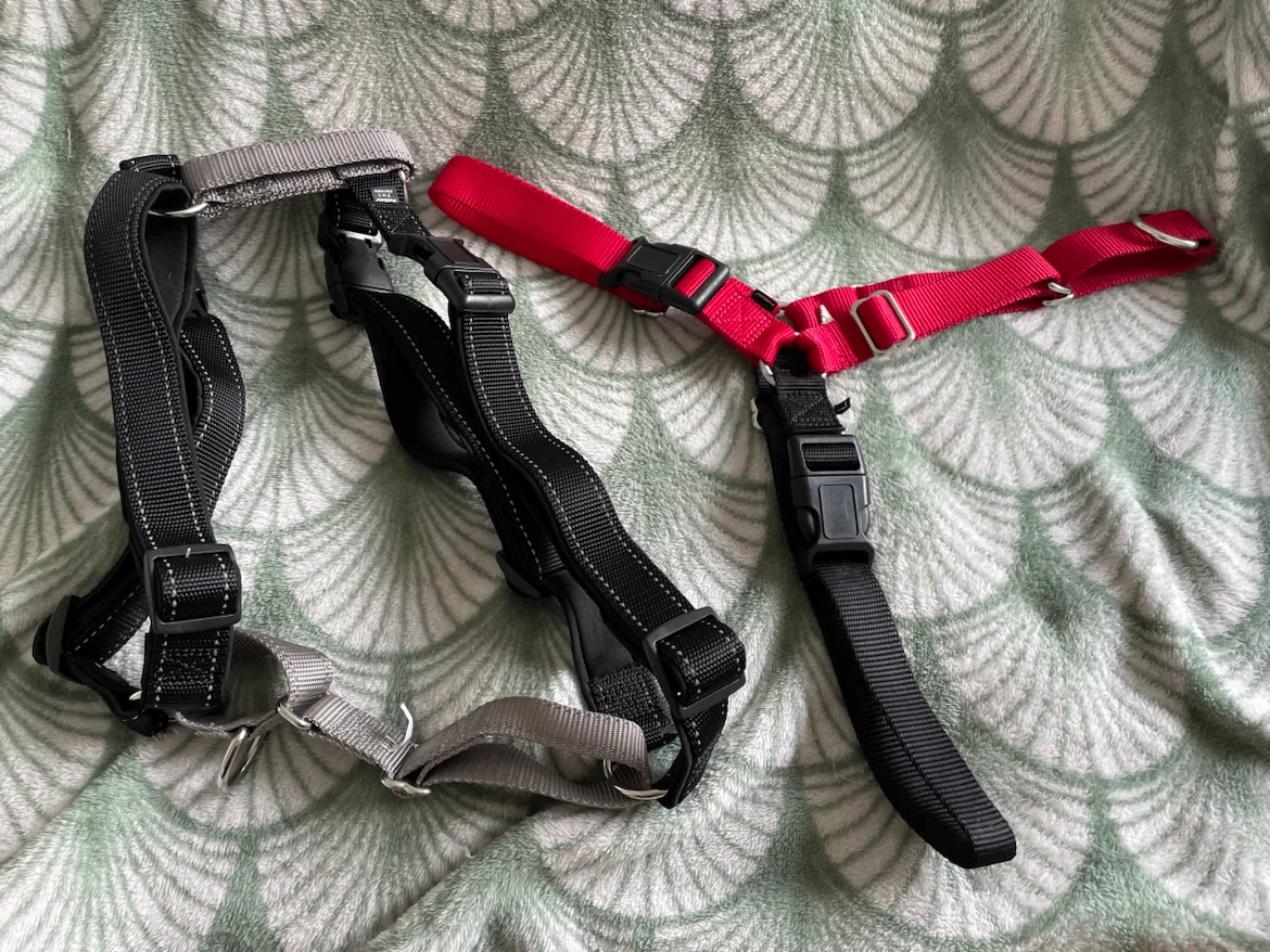 Large Dog Easy Walk Harnesses