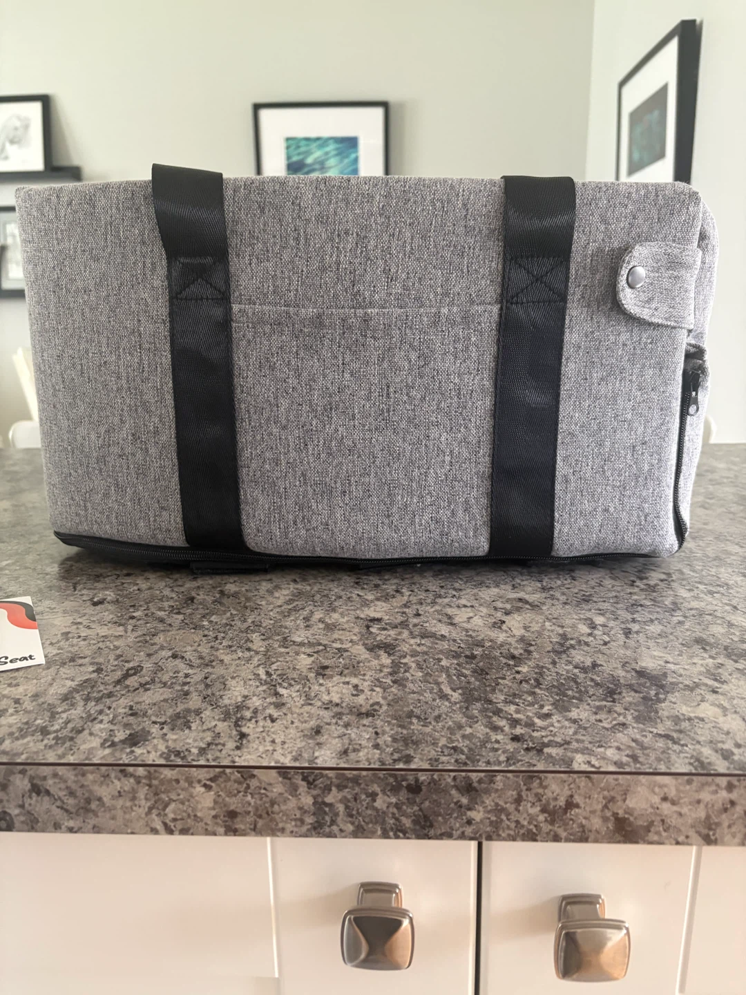 PAWSEAT Doggy Car Seat - photo 3