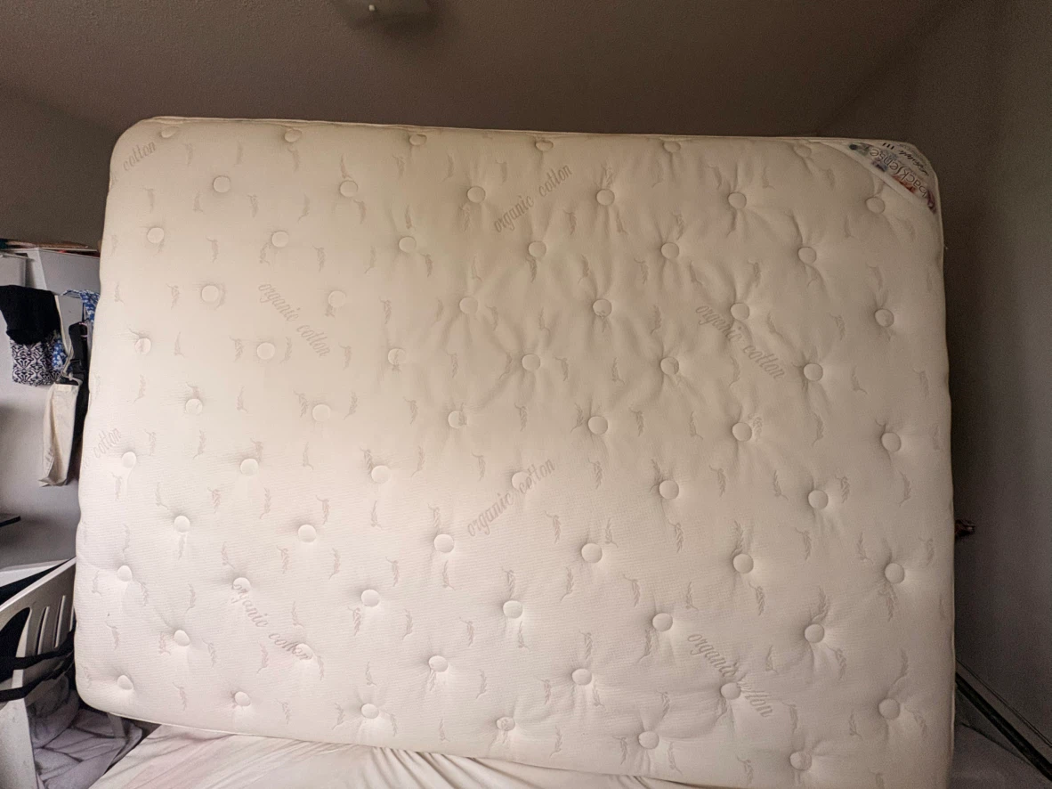 Therapedic BackSense Queen Mattress – Organic Cotton