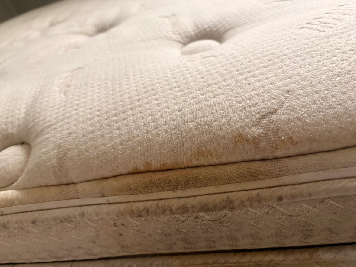 Therapedic BackSense Queen Mattress – Organic Cotton - photo 2