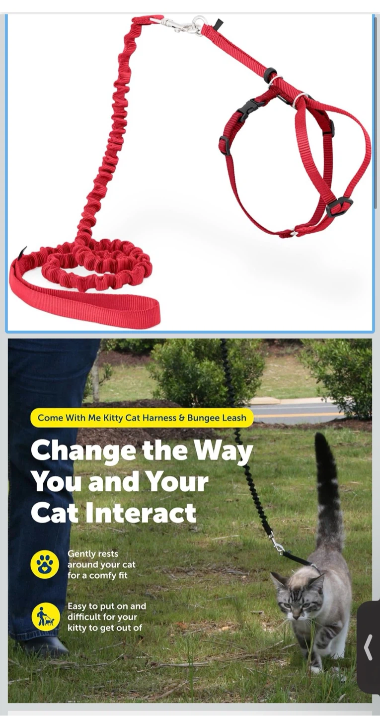 PetSafe Come With Me Kitty Harness and Bungee Leash - Medium